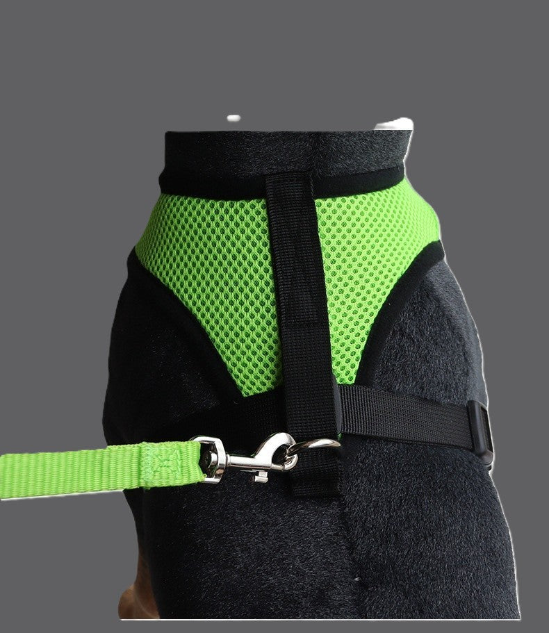 Harnais Réglable pour Petit Chien et Chat - Vert : Gilet Doux, Respirant et Réfléchissant avec Laisse Assortie