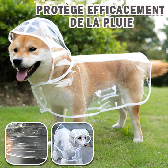 Manteau Chien | Imperméable™