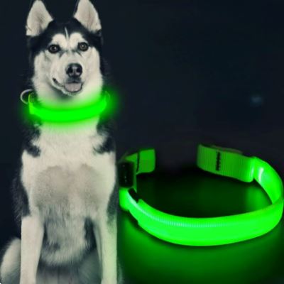 Collier Chien | LEDCollarDog™ - Vert