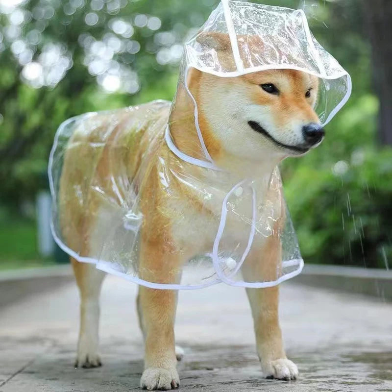 Manteau Chien | Imperméable™