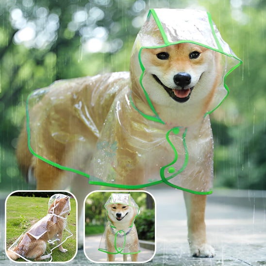 Manteau Chien | Imperméable™