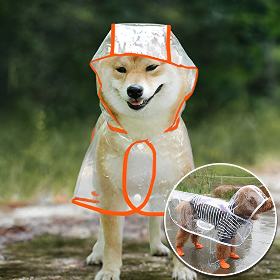Manteau Chien | Imperméable™
