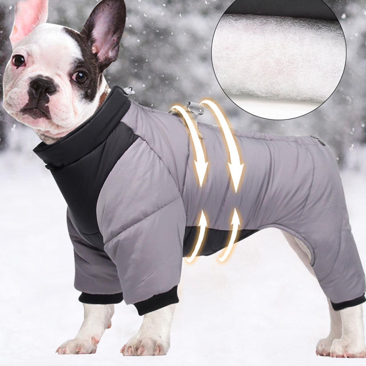 manteau sur chien bien ajusté
