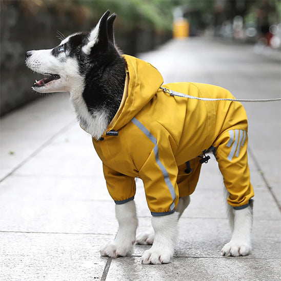 Manteau de pluie à capuche Imperméable pour Chien - Jaune