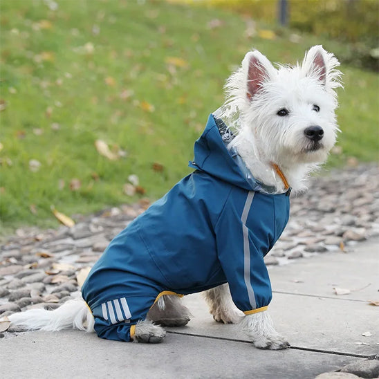 Manteau de Pluie à Capuche Imperméable - Bleu