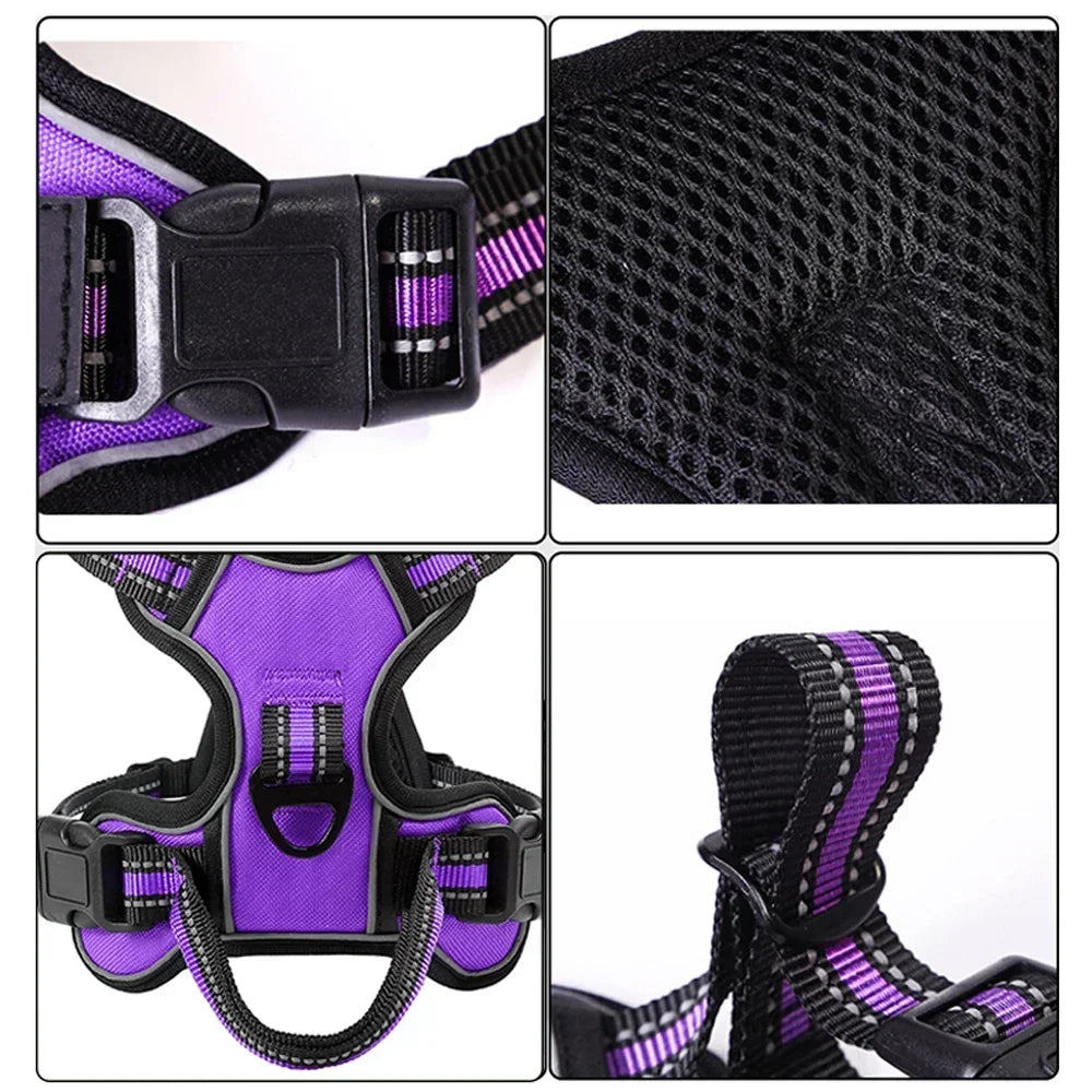 Harnais Réglable pour Chien - Violet | Réfléchissant, Respirant et Sans Traction™