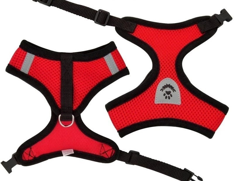 harnais petit chien flexible