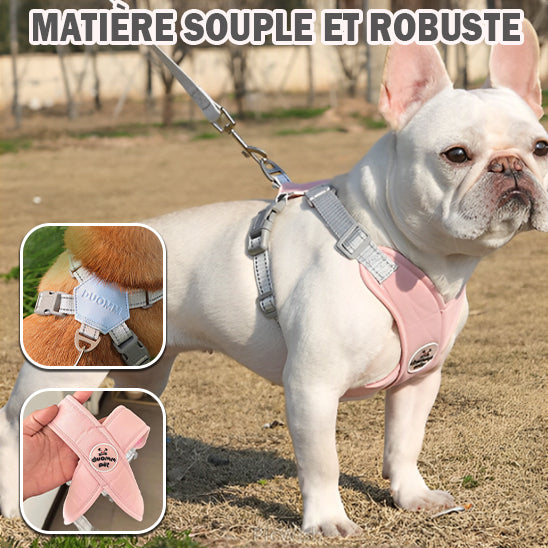 harnais pour chien robuste souple