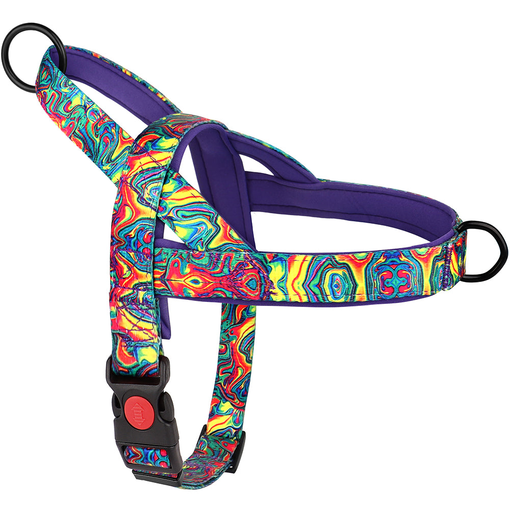harnais pour chien violet