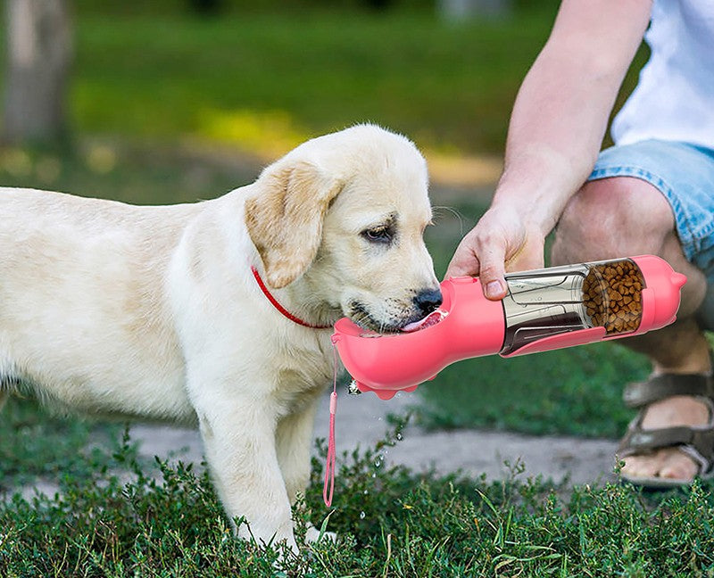 homme fait boire chien avec gourde polyvalente