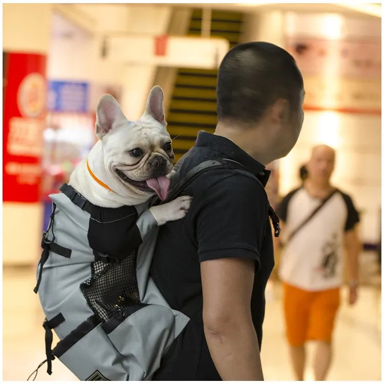 homme porte chien sac dos magasin