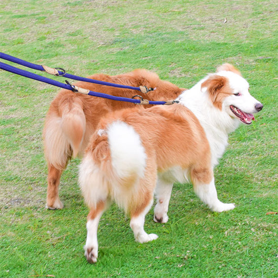 Laisse Double pour Chien | Réglable™