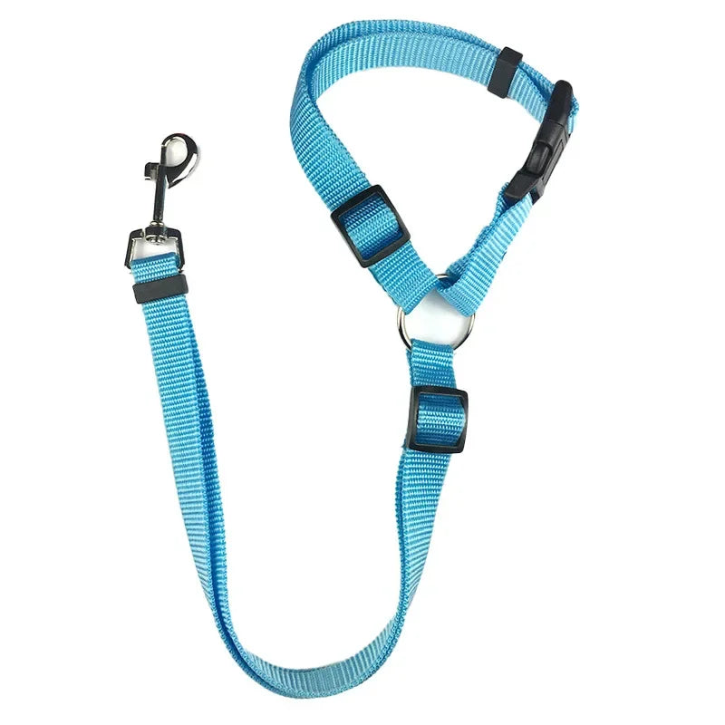 laisse chien bleu ciel