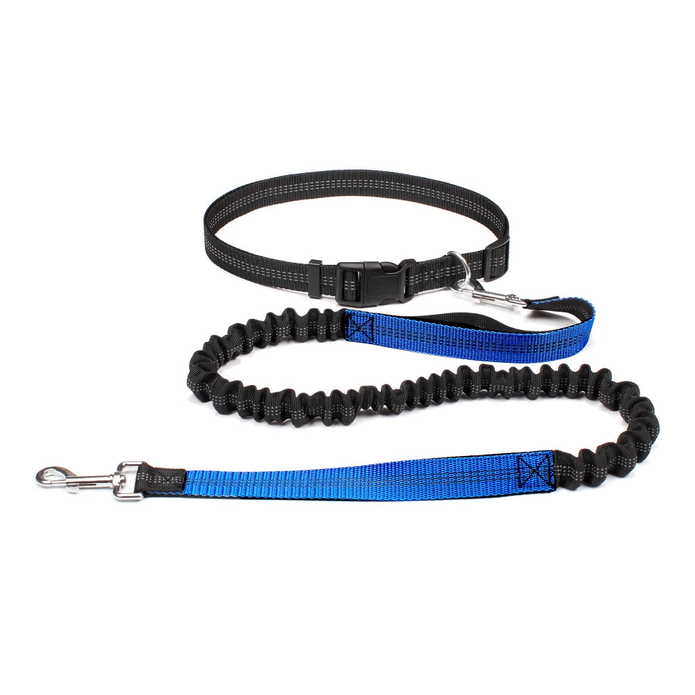 laisse chien bleu en main libre