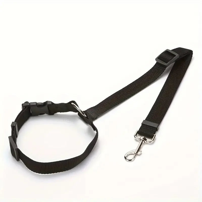 laisse chien noire