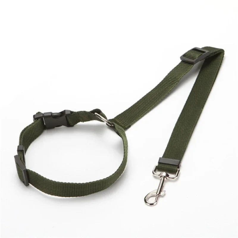 laisse chien vert