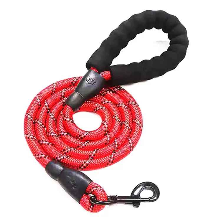 laisse rouge chien