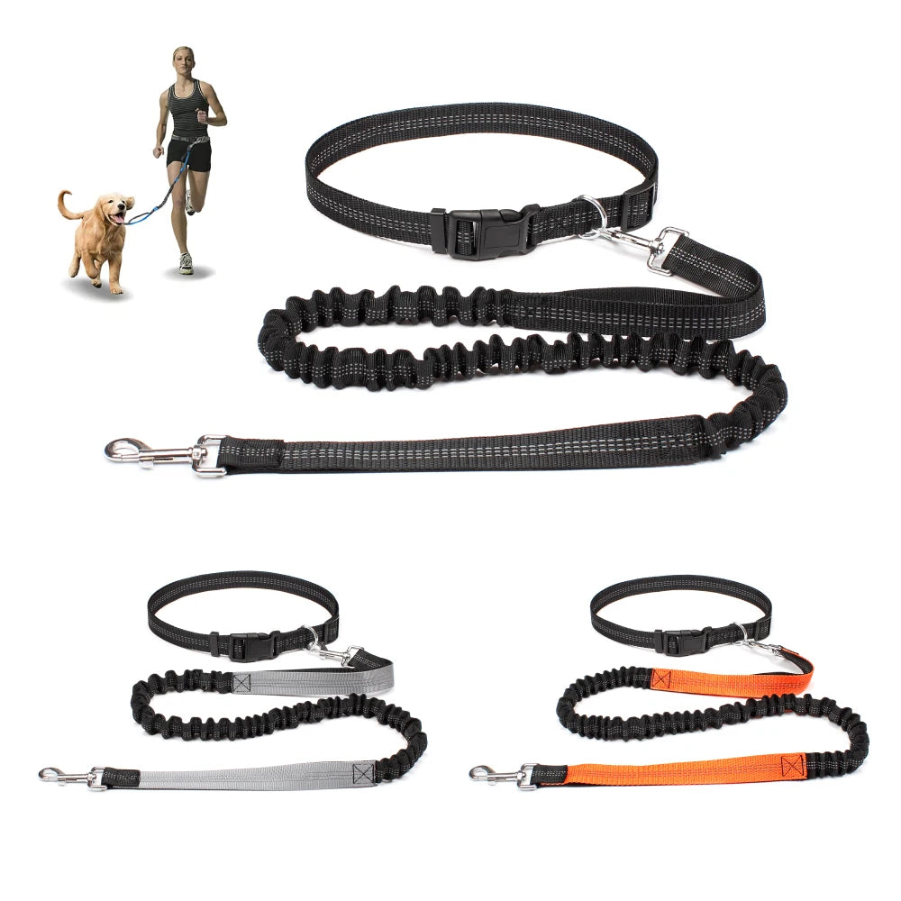 laisse homme fait sport avec son chien