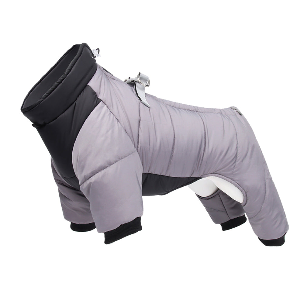 gris manteau chien hiver