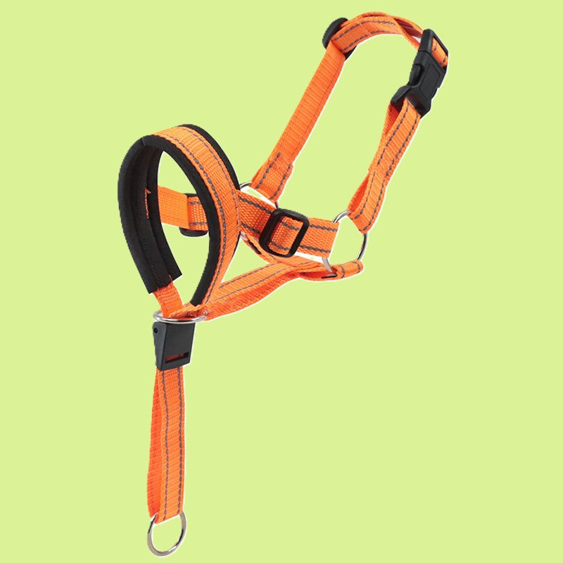 regable chien museliere
