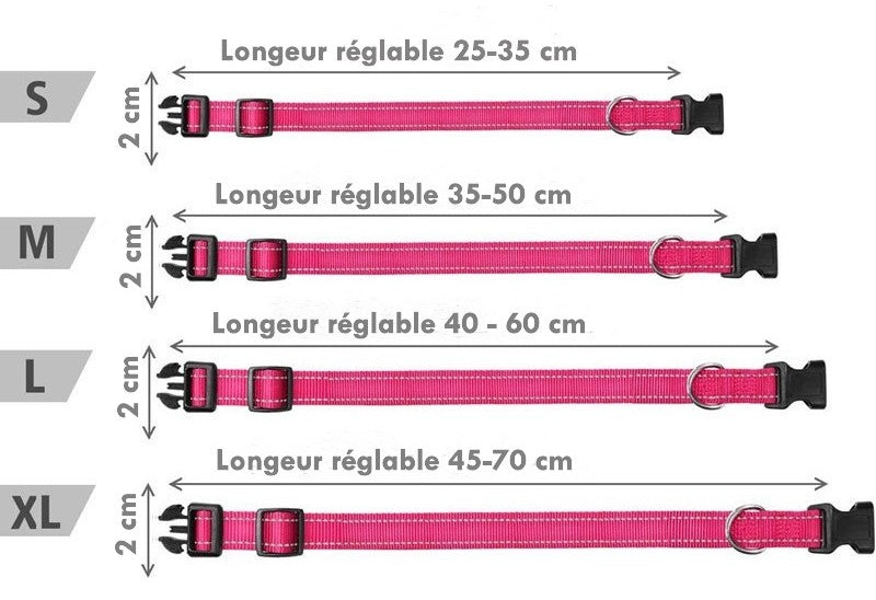 dimension collier pour chien en nylon
