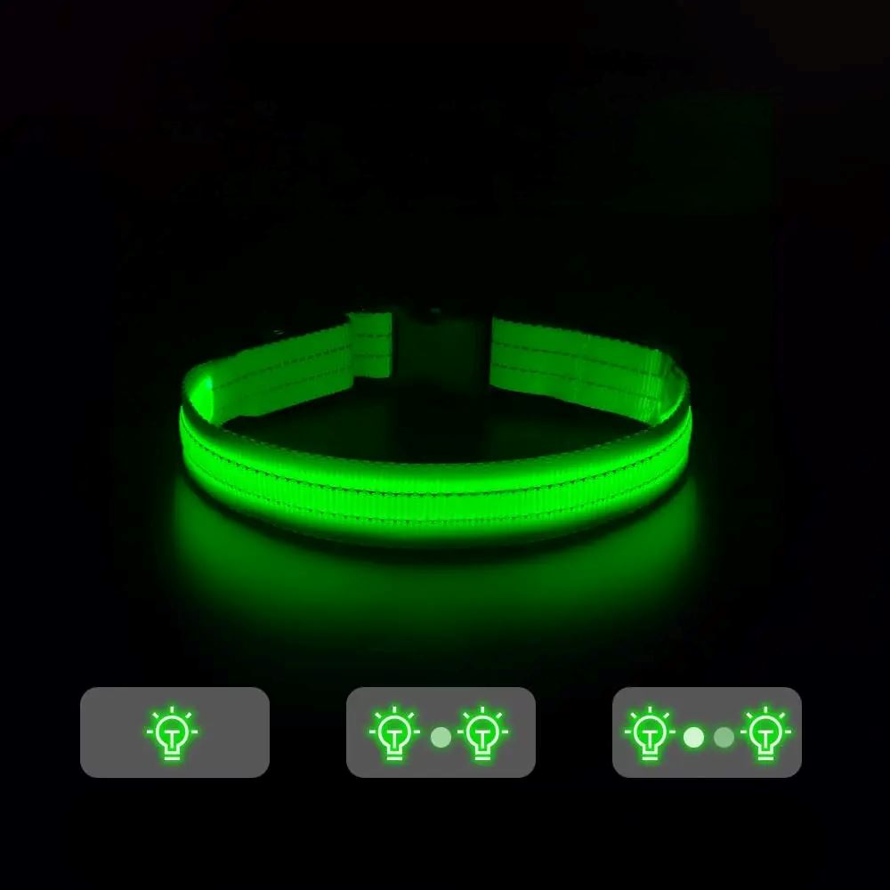 Collier Chien | LEDCollarDog™ - Vert