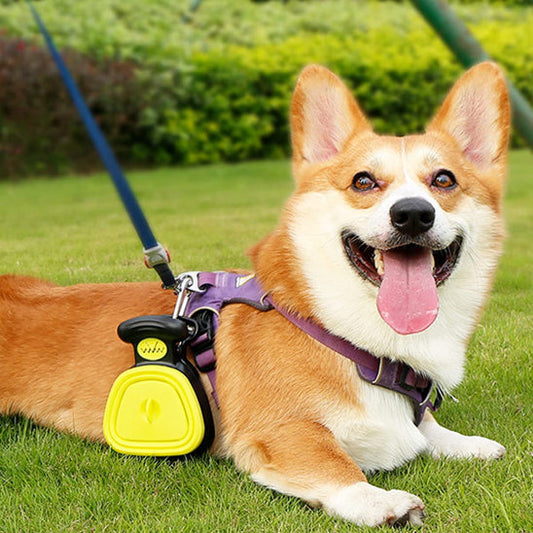 chien porte sa ramasse crottes