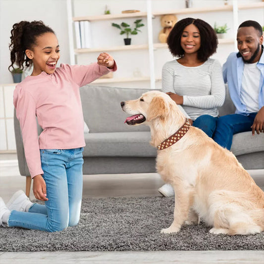 chien avec la famille 