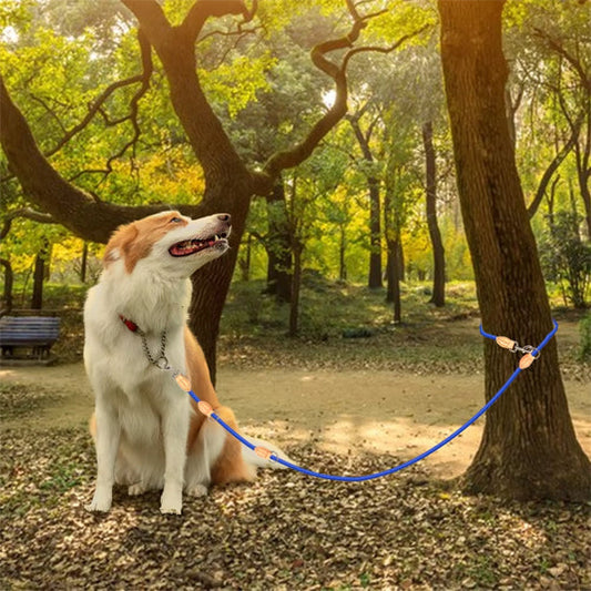 chien avec sas laisse en forêt 