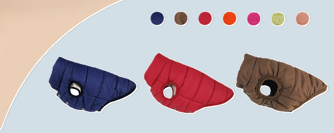 Comment choisir la Taille d’un Manteau pour Chien !
