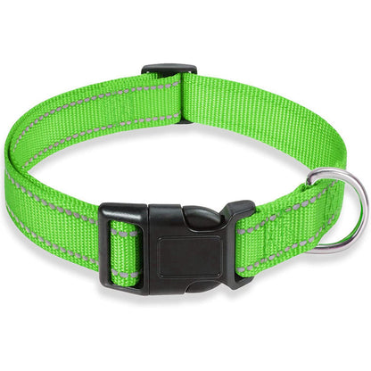 Collier pour Chien Réfléchissant | NylonCollar™