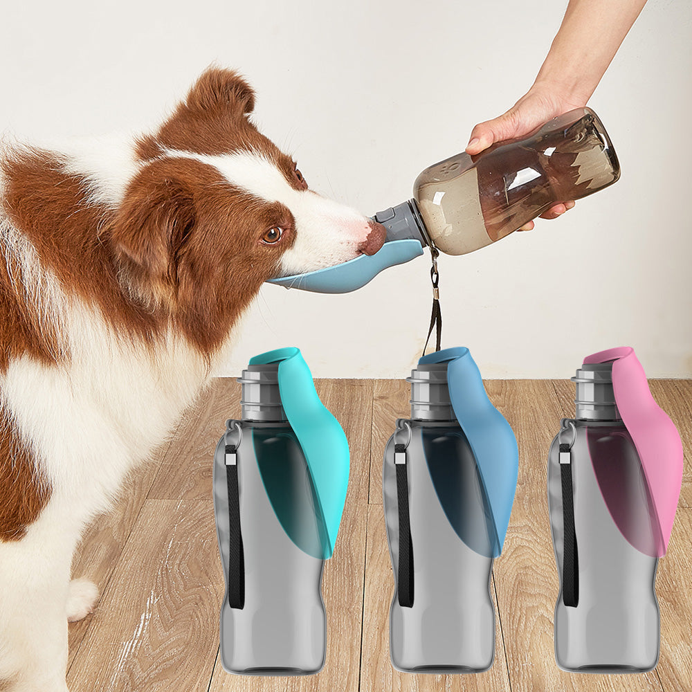 Gourde pour Chien 800 ml | PetWater™