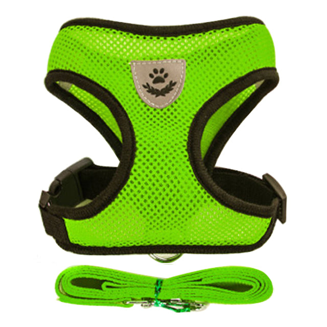 Harnais Réglable pour Petit Chien et Chat - Vert : Gilet Doux, Respirant et Réfléchissant avec Laisse Assortie