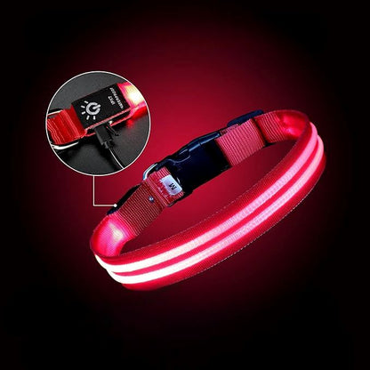 Collier Chien | LEDCollarDog™ - Rose