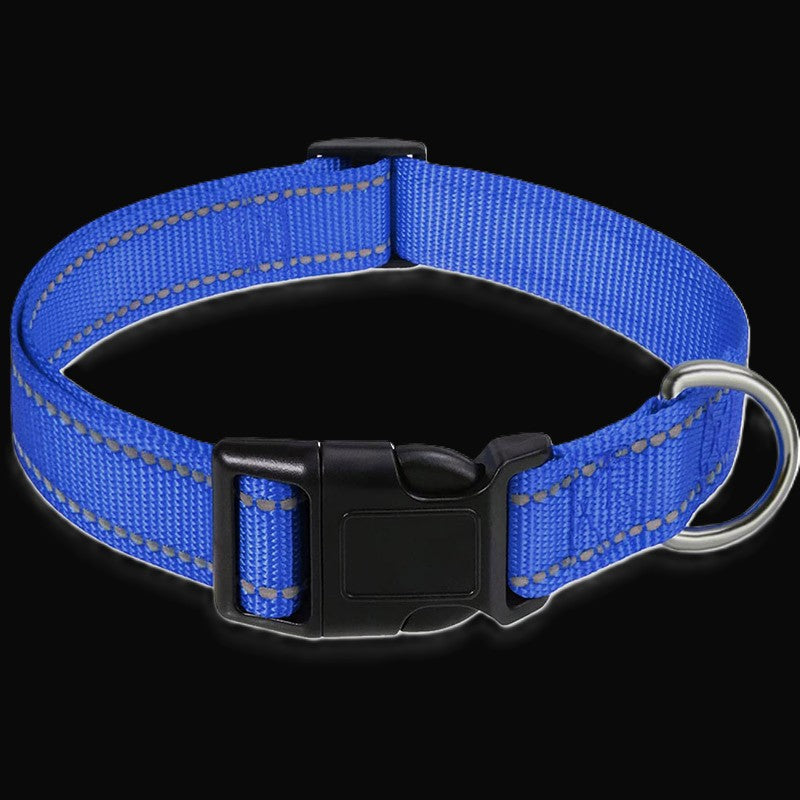 collier chien sangle réfléchissante