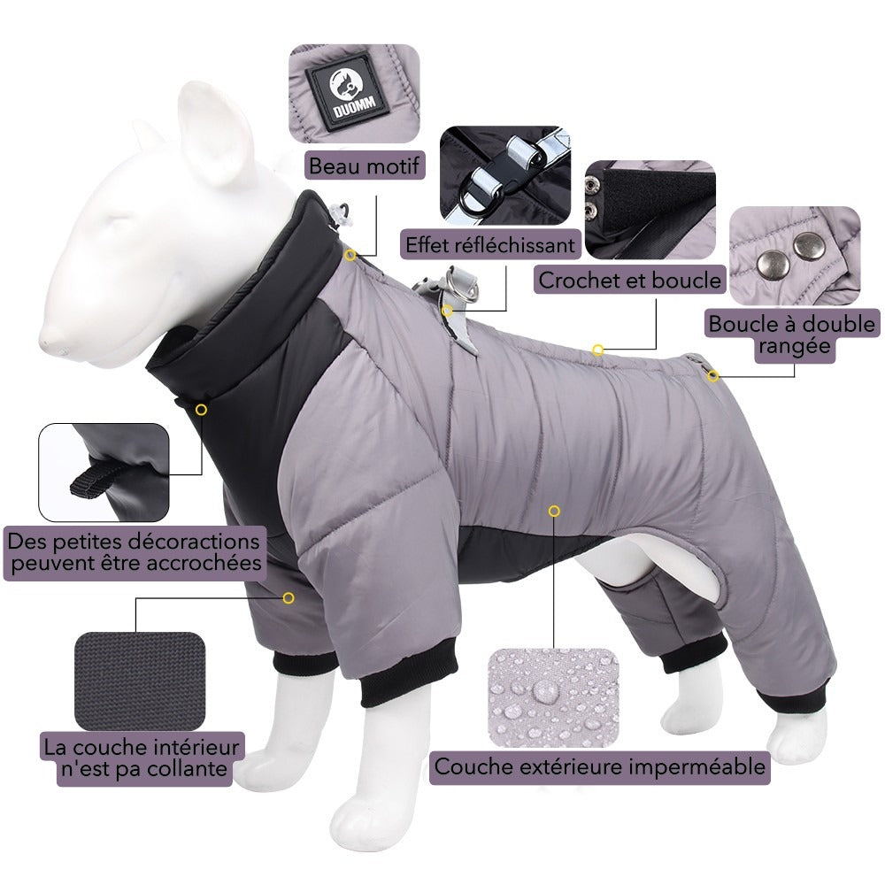 manteau chien beau motif imperméable