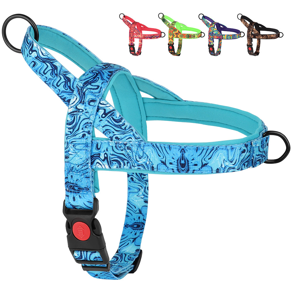 Plusieurs harnais pour chien