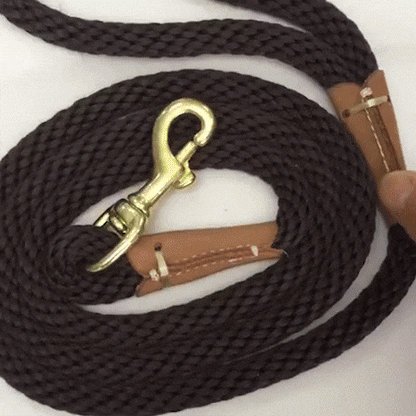 Training Leash