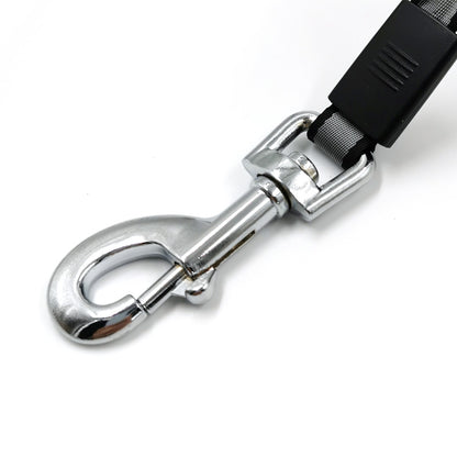 attache laisse rétractable pour chien