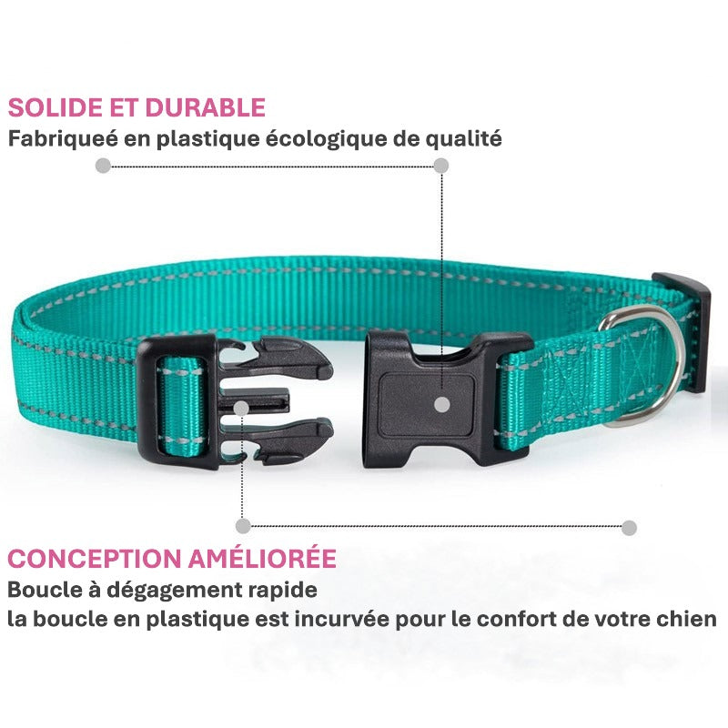 Collier pour Chien Réfléchissant | NylonCollar™