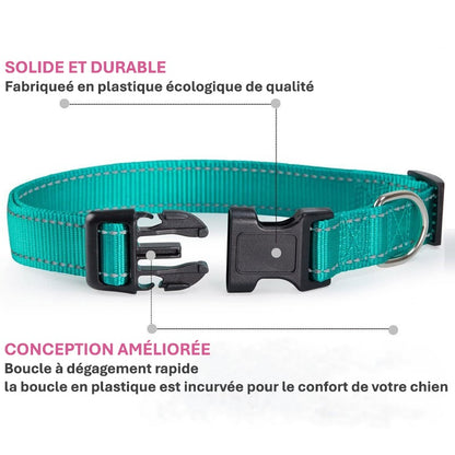 Collier pour Chien Réfléchissant | NylonCollar™