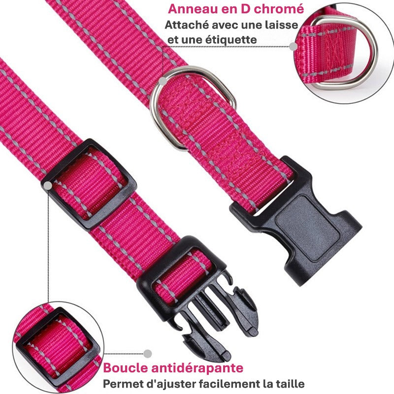 collier pour chien sangle boucle anneau