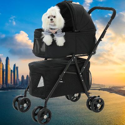 caniche dans poussette pliable noire heureux