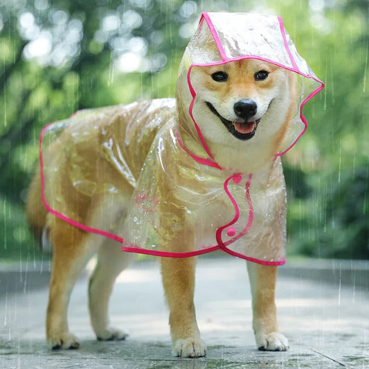 Manteau Chien | Imperméable™
