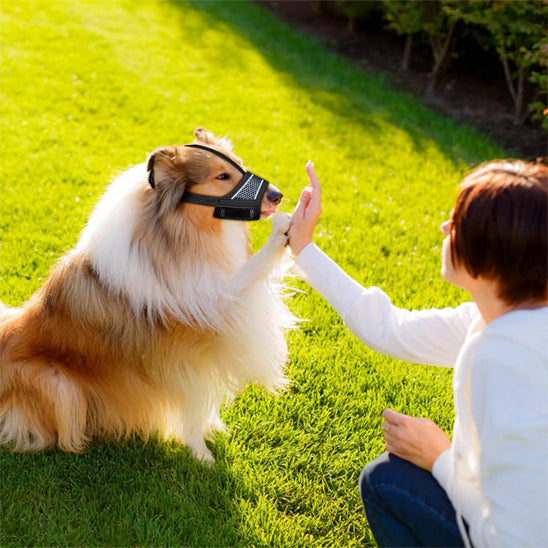 chien porte muselière fait main avec femme