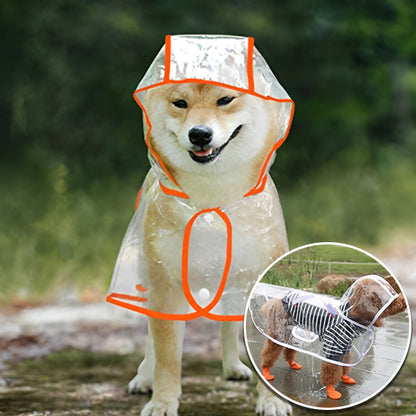Manteau Chien | Imperméable™