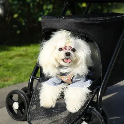 chien bien installer dans sa poussette grande espace noire