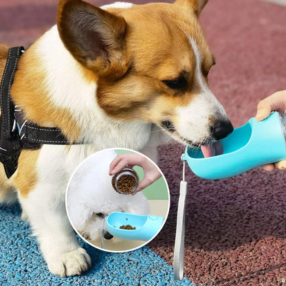 chien boit eau gourde image
