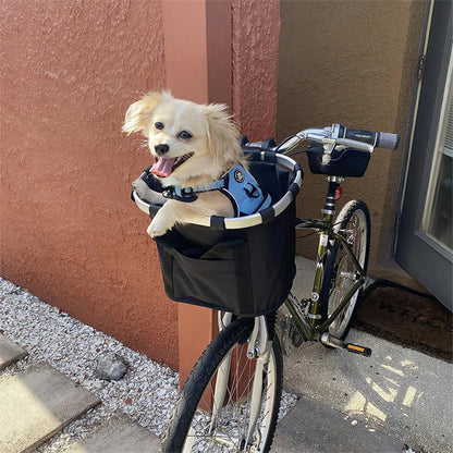 chien dans panier velo content