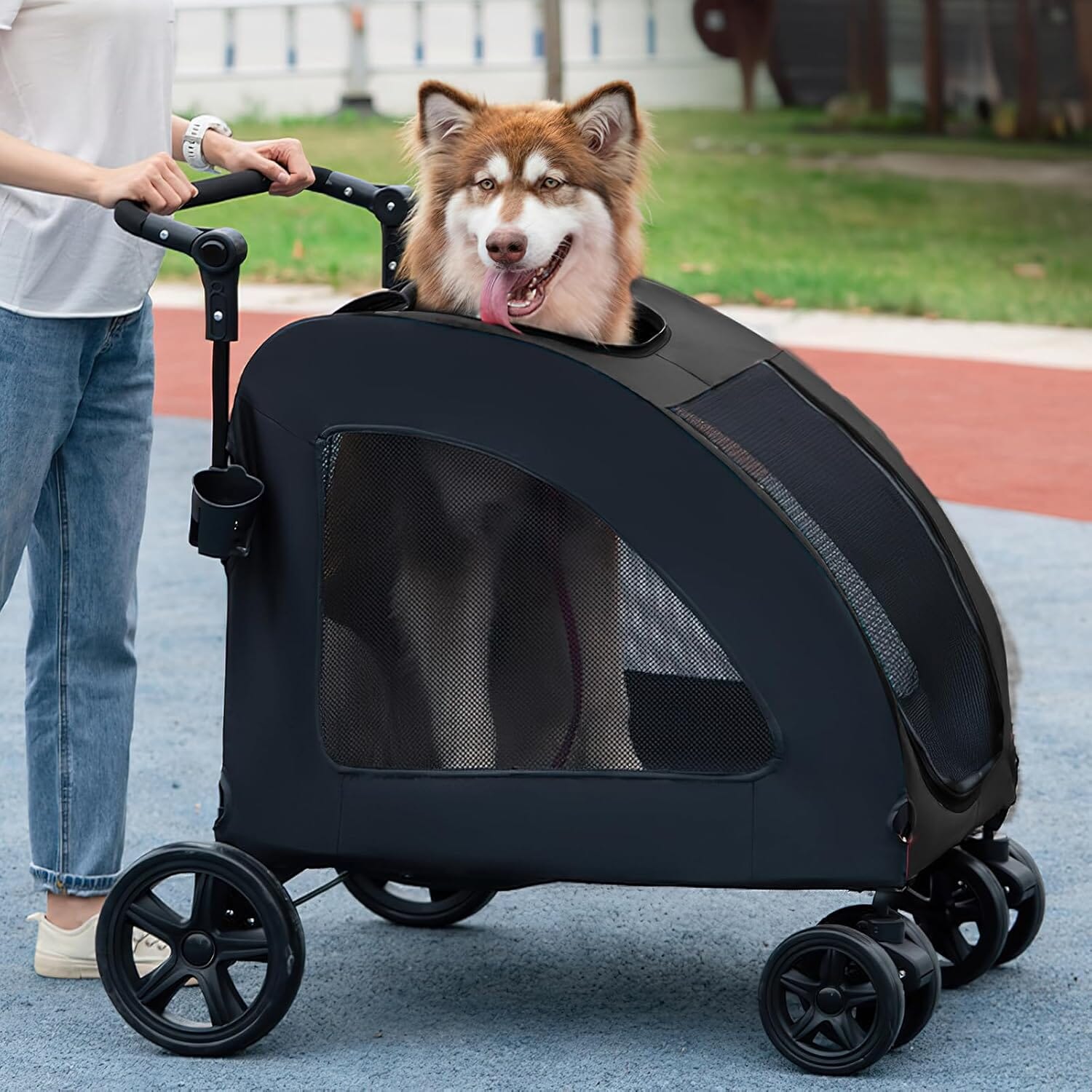 chien dans poussette exterieur